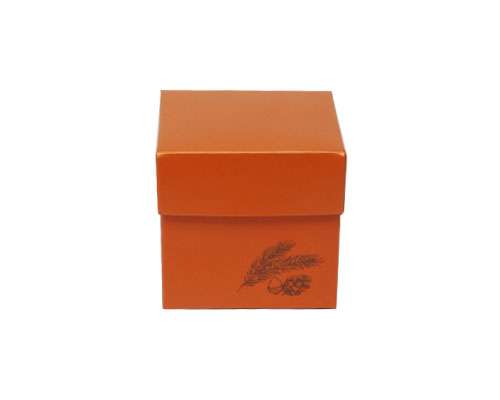 Cubebox Autumn figures 250 gr. sunset orange