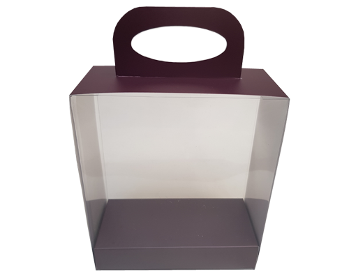 Pvc box shoe L170xW80xH170mm interior fig