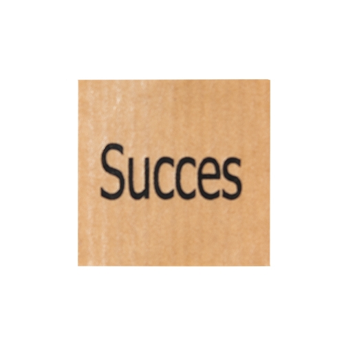 Wish label Succes kraft black 500pcs