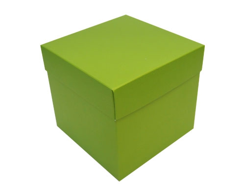 Cubebox appr. 750gr kiwi green