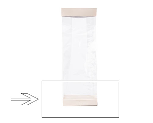 Arosabase 100x60x17mm seashell