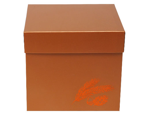 Cubebox Autumn figures 1000 gr. hazelnut