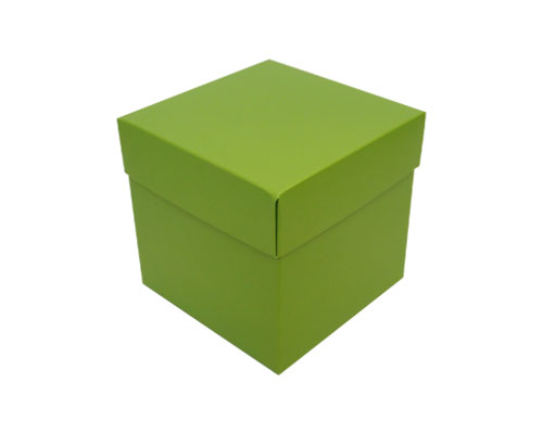 Cubebox appr. 500gr kiwi green