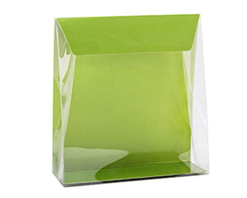 Pochette transparant L160xW50/H170mm kiwi green