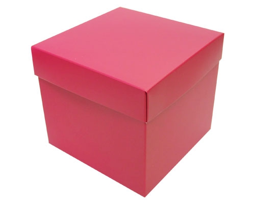 Cubebox appr. 750gr dahlia