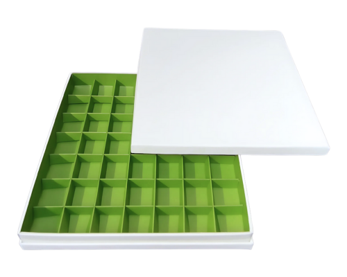Portofino box L244xW244xH31mm + compartments white kiwi green
