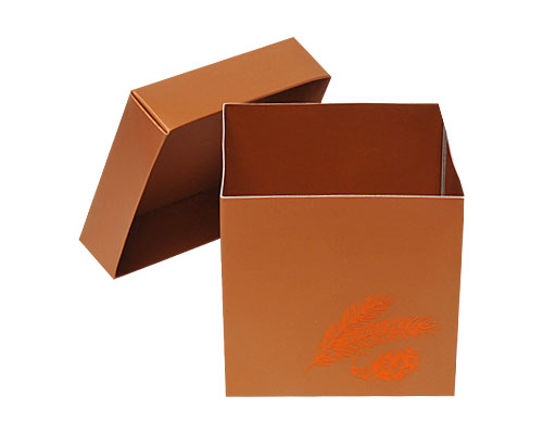 Cubebox Autumn figures 500 gr. hazelnut