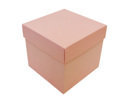 Cubebox appr. 750gr lotus